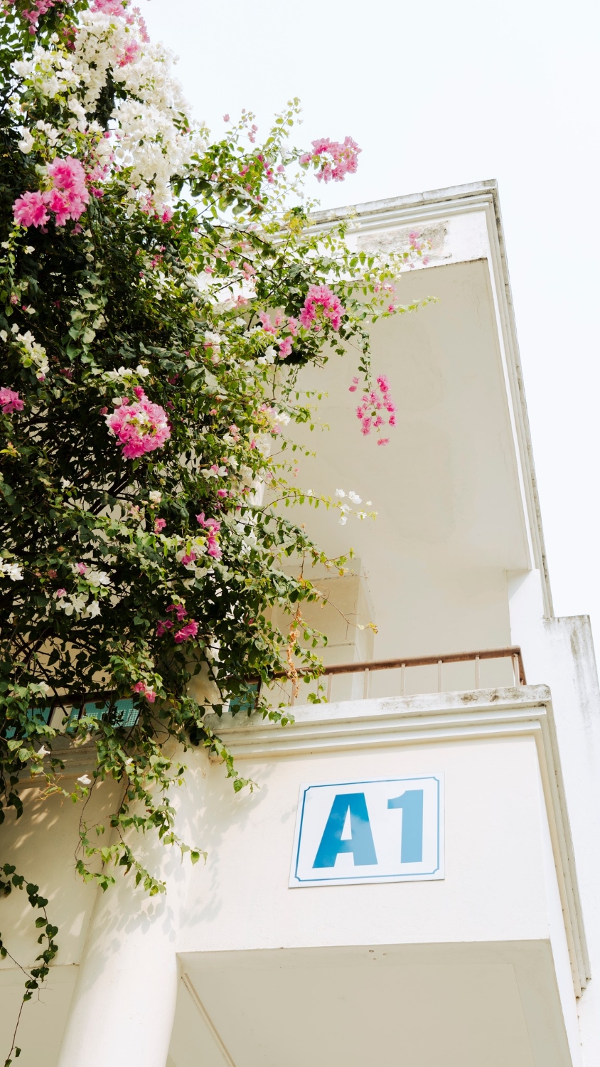 Mua hoa UED 19