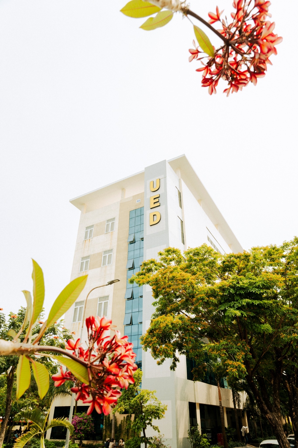PS anh Mua hoa UED 01