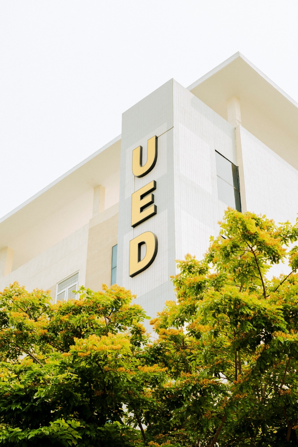 PS anh Mua hoa UED 02
